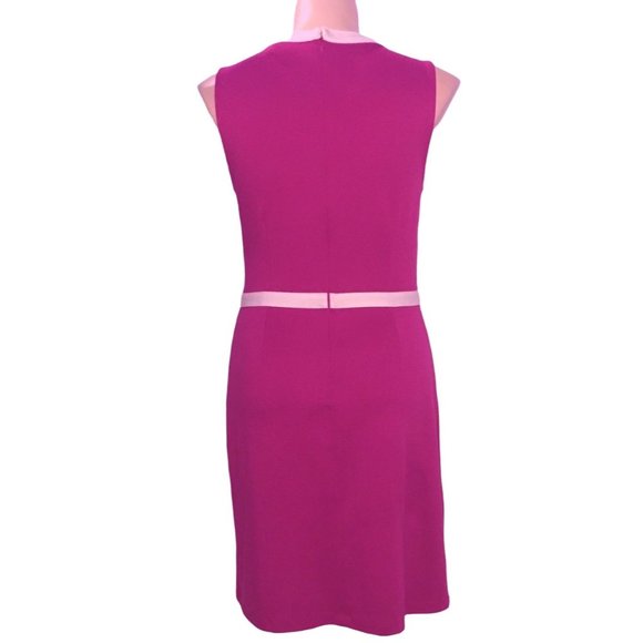 Ann Taylor 12 Dress Magenta Pink Purple Off White Trim V Neck Sleeveless Work - Picture 4 of 7
